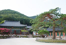 전경1