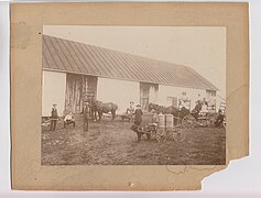 1900, ferme Claïr Massicotte et Éléonore (Élée) Trudel, certains de leurs 11 ou 12 enfants, chevaux, chien et roulant, rang Saint-Augustin
