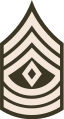 First sergeant (United States Army)[25]