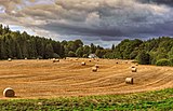 Farmland in Kilmadock areas