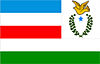 Flag of Juruti
