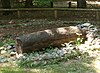 Log coffin burial, reconstruction.[41][42]