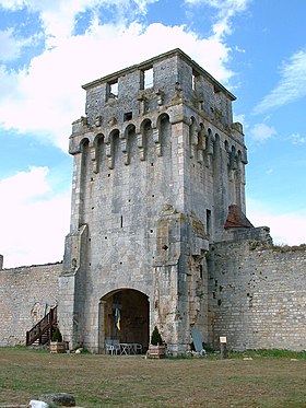 Image illustrative de l’article Château de Druyes