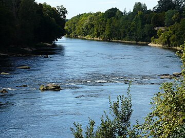 La Dordogne en aval du barrage de Tuilières, entre Saint-Agne à gauche, et Mouleydier à droite.