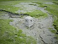 Une borne, vestige de l'engloutissement.