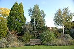 庭の景色、グリーン・テンプルトン・カレッジ、オックスフォード