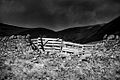 Gate by the A702 road looking towards the Pentland hills