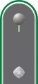e. Shoulder strap basic form (metallic version) - Heer (here: lieutenant - OF1b infantry)