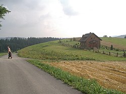 Southern tip of Jaworzynka village