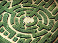 Image 17Labyrinth maze of Barvaux, Durbuy, Belgium (from List of garden types)
