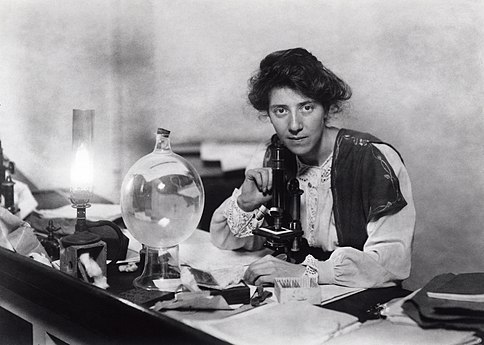 Marie Stopes in her laboratory at Manchester University, c. 1904. Unknown photographer, restored by Adam Cuerden
