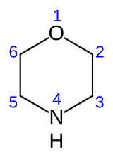 Image illustrative de l’article Morpholine