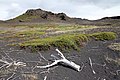 Myvatn-Jardbadsholar