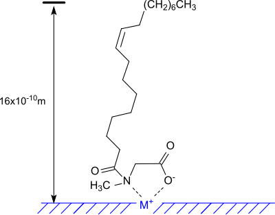 Adsorption of N-oleoylsarcosin on a metal surface