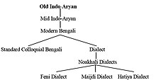 Diagram showing the origin of the Noakhali language