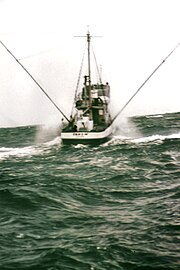 Trolling for tuna in the Pacific
