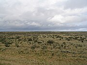 Cold Patagonian steppe near Fitz Roy, Argentina
