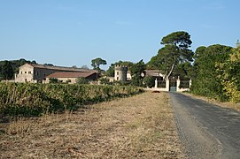 En arrivant depuis le centre de Pézenas