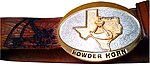 Texas Buckle & Branded Belt
