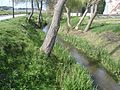 O río xunto ao paseo de ribeira