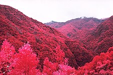 Ribiera da Janela Valley on Madeira Island, using Kodak EIR (2003)