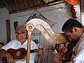 A jarana jarocha and harp being played as part of a son jarocho band in Mexico.
