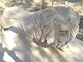 مجسمه شیر سنگی در روستای کمال‌آباد