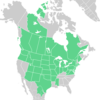 Symphyotrichum ericoides distribution map: Canada — Alberta, British Columbia, Manitoba, Northwest Territories, Ontario, Québec, and Saskatchewan; Mexico — Coahuila and Nuevo León; US — Arizona, Arkansas, Colorado, Connecticut, Delaware, District of Columbia, Idaho, Illinois, Indiana, Iowa, Kansas, Maine, Maryland, Massachusetts, Michigan, Minnesota, Mississippi, Missouri, Montana, Nebraska, New Jersey, New Mexico, New York, North Dakota, Ohio, Oklahoma, Oregon, Pennsylvania, Rhode Island, South Dakota, Texas, Utah, Vermont, Virginia, Washington, West Virginia, Wisconsin, and Wyoming.