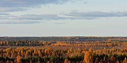 Autumn foliage and peat production in the distance in Viraksaare