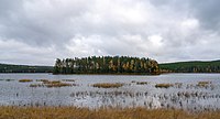 Vy mot Storholmen från Ytter-Holmsjöns västra sida.