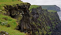 Macareux sur les falaises des îles Vestmann.