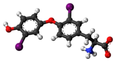 Ball-and-stick model of the 3,3'-diiodothyronine molecule as a zwitterion