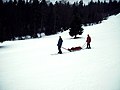 Patient transport sled managed by skiers