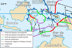 プレートの詳細な位置図（インドネシア東部）