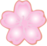 Flor de Sakura