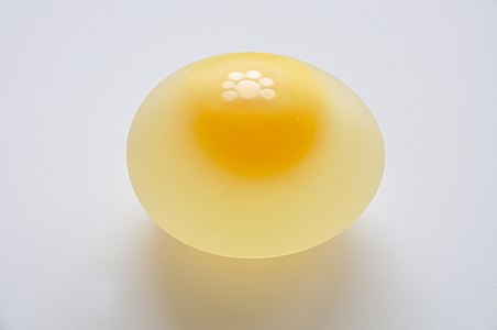 Chicken egg without shell, by Biswarup Ganguly