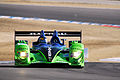 David Brabham en American Le Mans Series en 2008