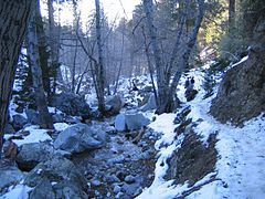 A lo largo del sendero Icehouse Canyon