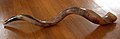 Temani (Yemeni Jewish) style shofar made from a kudu horn. (Photo: Olve)