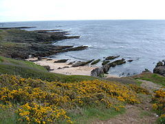 Plage au sud du hameau de Locqueltas (stank).