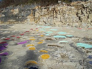 עקבות דינוזאורים מוטבעות בסלעים מן המלם סמוך לעיירה לול ברכס הרי היורה.