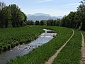 Möhlin mit Belchen im Hintergrund