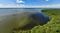 Aerial view of the shoreline of Mallows Bay looking toward the Potomac River