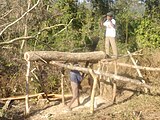 Manaung Township Timber Business