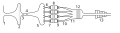 Diagram of piston engine with (from left to right): ram-air intake, air filter, mass flow sensor, butterfly valve, air box, intake runners, intake valve, piston, exhaust valve, extractor pipe, collector, catalytic converter, muffler.