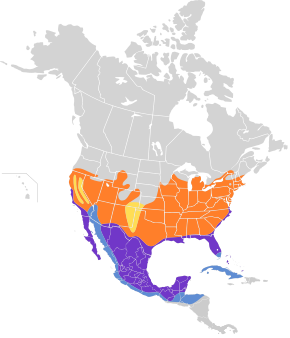 Description de l'image Polioptila caerulea map.svg.