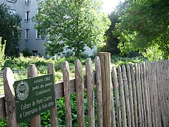 Une réserve de biodiversité du Jardin des plantes : culture de porte-graines et conservation de pieds-mères dans le clos Patouillet, ancienne propriété de Buffon.