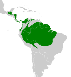 Distribución geográfica del mosquerito colirrojo.