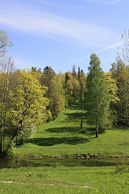 Объект всемирного наследия Historic Centre of Saint Petersburg and Related Groups of Monuments. Dudergofskie Heights (Исторический центр Санкт-Петербурга и связанные с ним комплексы памятников. Дудергофские высоты) Ссылка № 540-031 в списке объектов всемирного наследия (en) Критерии i, ii, iv, vi Регион Европа и Северная Америка Включение 1990 (14-я сессия)