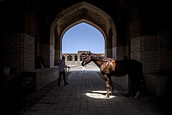 یک اسب اصیل ترکمن در ورودی کاروانسرای دیرگچین